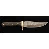 Image 2 : Damascus Steel Skinner Knife