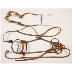 Collection of 2 Bridles