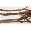 Image 2 : Collection of 2 Bridles