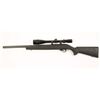 Image 3 : Ruger 10/22 .17 HMR SN: 290-04521