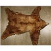 Image 2 : Bear Skin Rug