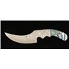 Image 1 : Ornate Native American Skinning Knife