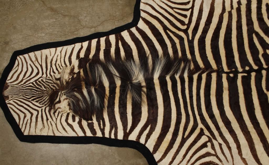 Zebra Hide Rug