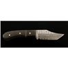 Image 2 : Damascus Steel Skinner Knife