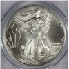 Image 2 : 2002 AMERICAN SILVER EAGLE, PCGS MS-69