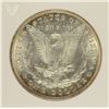 Image 3 : 1892 MORGAN DOLLAR ANACS MS-62