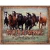 Image 1 : WELCOME FRIENDS - HORSES METAL SIGN