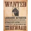 Image 1 : LAB WANTED POSTER METAL SIGN