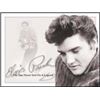 Image 1 : ELVIS SUN NEVER SETS METAL SIGN