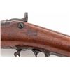 Image 4 : Model 1884 Trapdoor Rifle, by Springfield