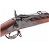 Image 1 : U.S. Model 1884 Trapdoor Springfield Rifle