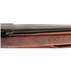 Image 3 : Reising Model 60 Semi-Auto Rifle, by H&R