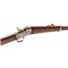 Image 1 : Remington Rolling Block Rifle