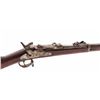 Image 1 : Springfield M.1879 Trapdoor Rifle