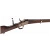 Image 1 : Remington Rolling Block Rifle