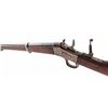 Image 5 : Remington Rolling Block Rifle