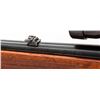 Image 6 : Winchester Model 100 Semi-Automatic Rifle