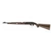 Image 3 : Remington Nylon 66 Semi-Automatic Rifle