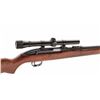 Image 1 : Winchester Model 77 Semi-Automatic Rifle