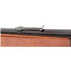 Image 7 : Rossi/Winchester Composite Model 94 Carbine
