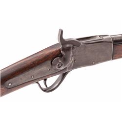 Peabody Single Shot Rifle