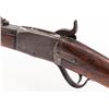 Image 4 : Peabody Single Shot Rifle