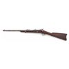 Image 3 : Model 1873 Trapdoor Springfield Carbine