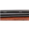 Image 3 : Remington Model 1100 Semi-Auto Shotgun