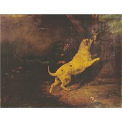 Follower of Armfield. Two terriers catching a rat in a barn interior, on canvas, 58cm x 72cm, 22...