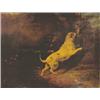 Image 1 : Follower of Armfield. Two terriers catching a rat in a barn interior, on canvas, 58cm x 72cm, 22...