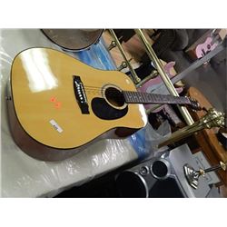 ACOUSTIC GUITAR