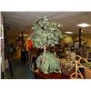 Image 1 : LARGE ARTIFICIAL PLANT
