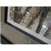 Image 3 : FRAMED LIMITED EDTION PRINT - FIR BARK - MARK FRANCIS - FROM LOCAL ESTATE