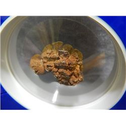 COPROLITE - AKA DINASAUR FECES - IN UNIQUE STRETCH FILM FRAME