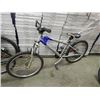 Image 1 : BIKE - SILVER