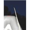 Image 2 : ALUMINUM PIPE WITH HOOK