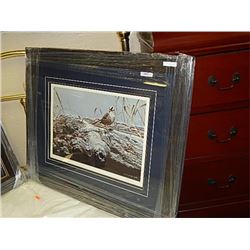 FRAMED LIMITED EDITION PRINT "WHITE CROWNED SPARROW - RON PARKER- GALLERY ESTIMATE$475