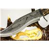 Image 2 : COLLECTABLE WOLF NATURE DISPLAY KNIFE W/ ENGRAVED DESIG