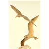 Image 2 : Curtis Jere, "Seagulls"