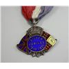 Image 9 : WWI commemorative pins, pendants & medals