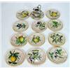 Image 1 : Eleven pottery Cantalani Majolica plates, hand painted with lemons, berries and grapes and a hand…