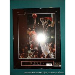 MICHAEL JORDAN PRINT