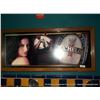 Image 1 : LOT: FRAMED MICHELOB PICTURE