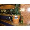 Image 1 : CLAY POT