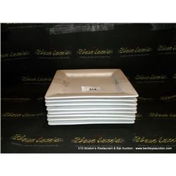 LOT: SQUARE PLATES 8X MONEY