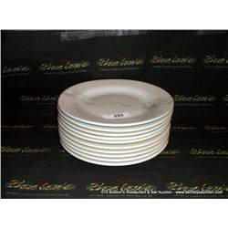 LOT: PLATES 10X MONEY