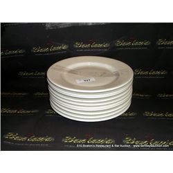 LOT: PLATES 10X MONEY