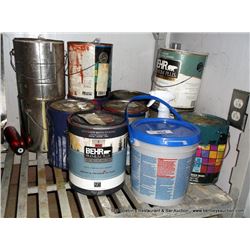 LOT: MISCELLANEOUS PAINT, PUDDY