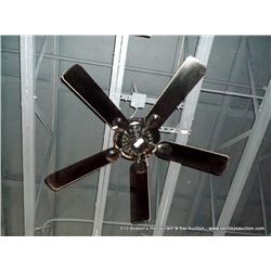 CEILING FAN