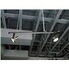Image 4 : LOT: TRACK LIGHTING 8X MONEY